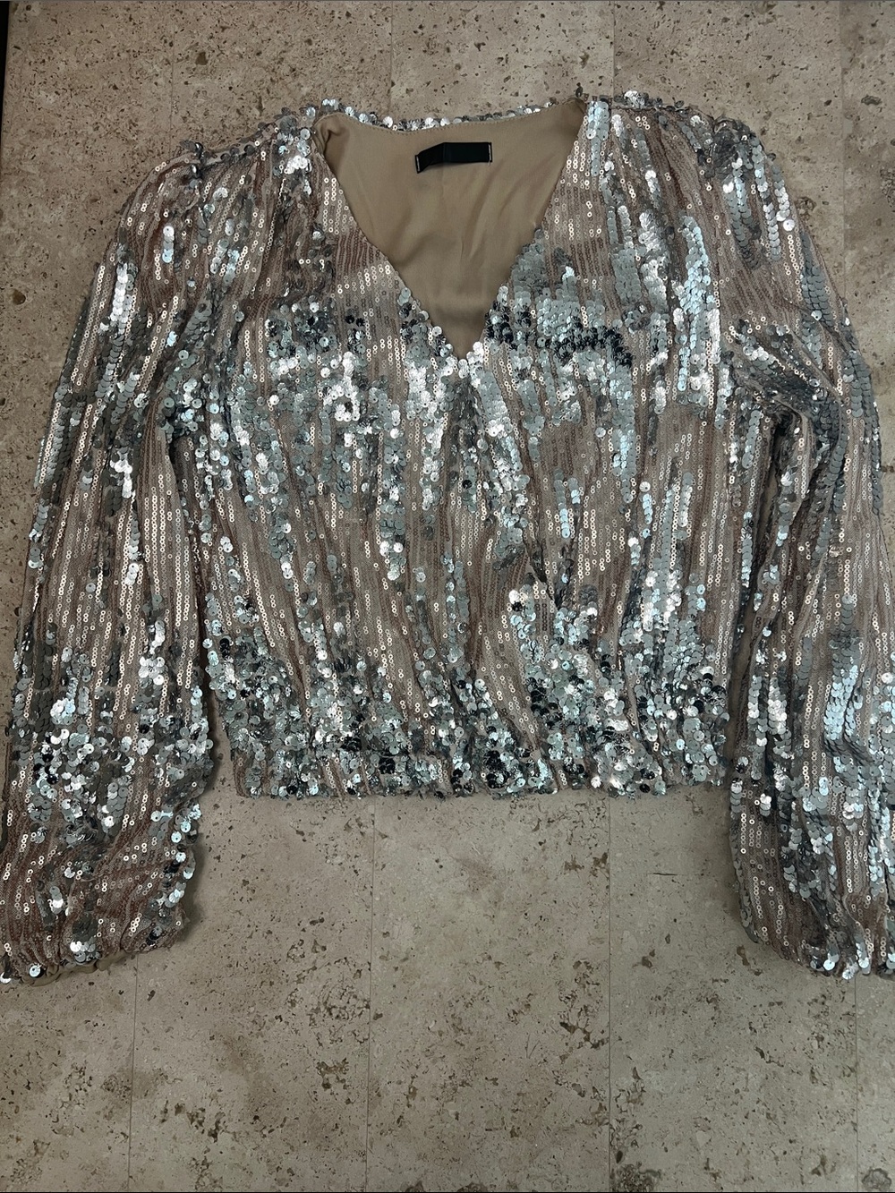 Sequin V-Neck Long Sleeve Crop Top - Silver on Nude